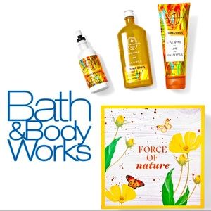 Aromatherapy
PINEAPPLE LIME EUCALYPTUS
Gift Box Set